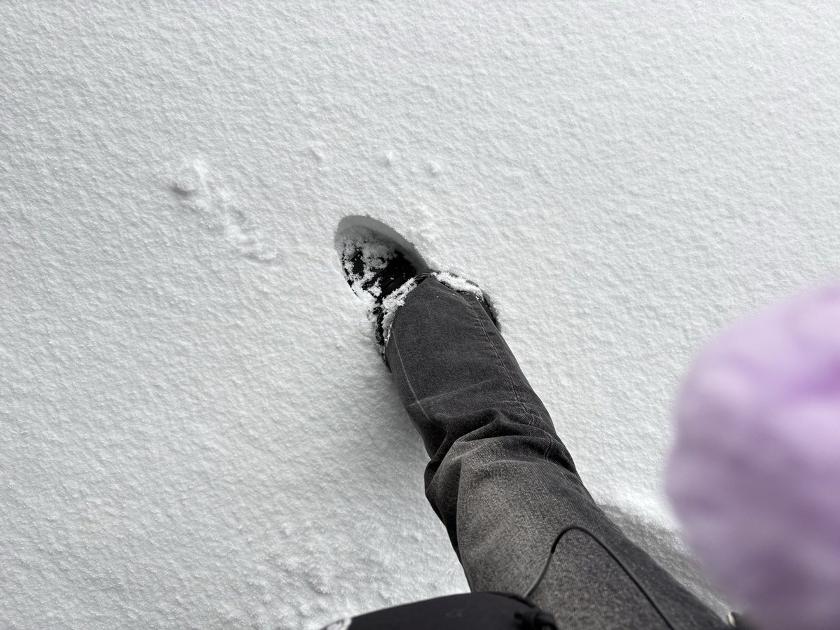 橘リノ🍄🦷 tweet media