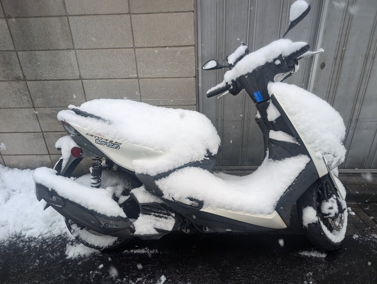 noburniper's tweet photo. お店の周りの雪かき終了〜

因みにバイクの現在の姿はこんなんです(^_^;)

#どぜう大門
#西新井大師
#雪かき https://t.co/VnvXq2bp3t