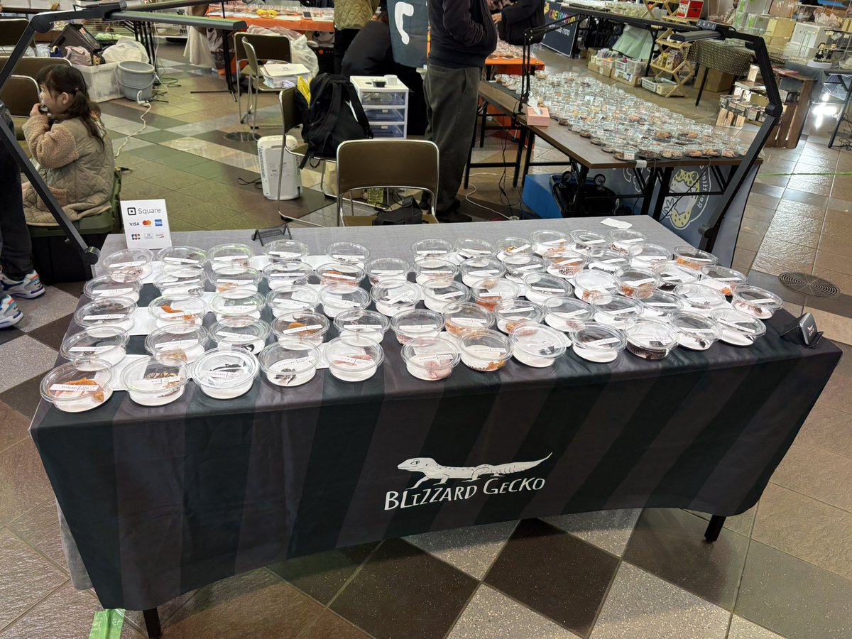 Blizzard Gecko🦎3/8BO tweet media