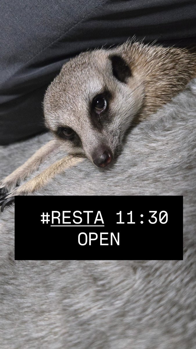 #RESTA 11:30-  ̗̀ 𝙊𝙋𝙀𝙉 .ᐟ.ᐟ   ̖́-
本日は大変冷え込んでおります⛄️🥶
ご来店状況によっては、
早めに営業を終了させていただく場合がございます🙇‍♀️

ご来店の際は、どうぞ暖かくしてお越しください☕️🥖