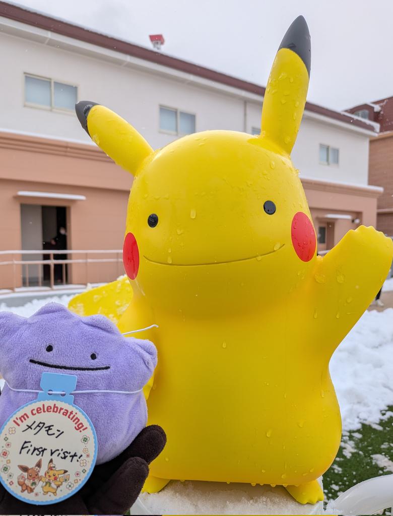 tsukimi_yashiki's tweet photo. ピカチュウいた！ https://t.co/BhNyCv8s05