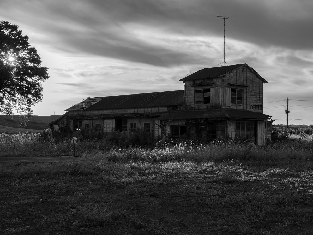 齊藤小弥太写真展「土地の記憶」は本日が最終日です。
雪で足元が悪いですが、お時間ありましたらぜひお立ち寄り下さい。