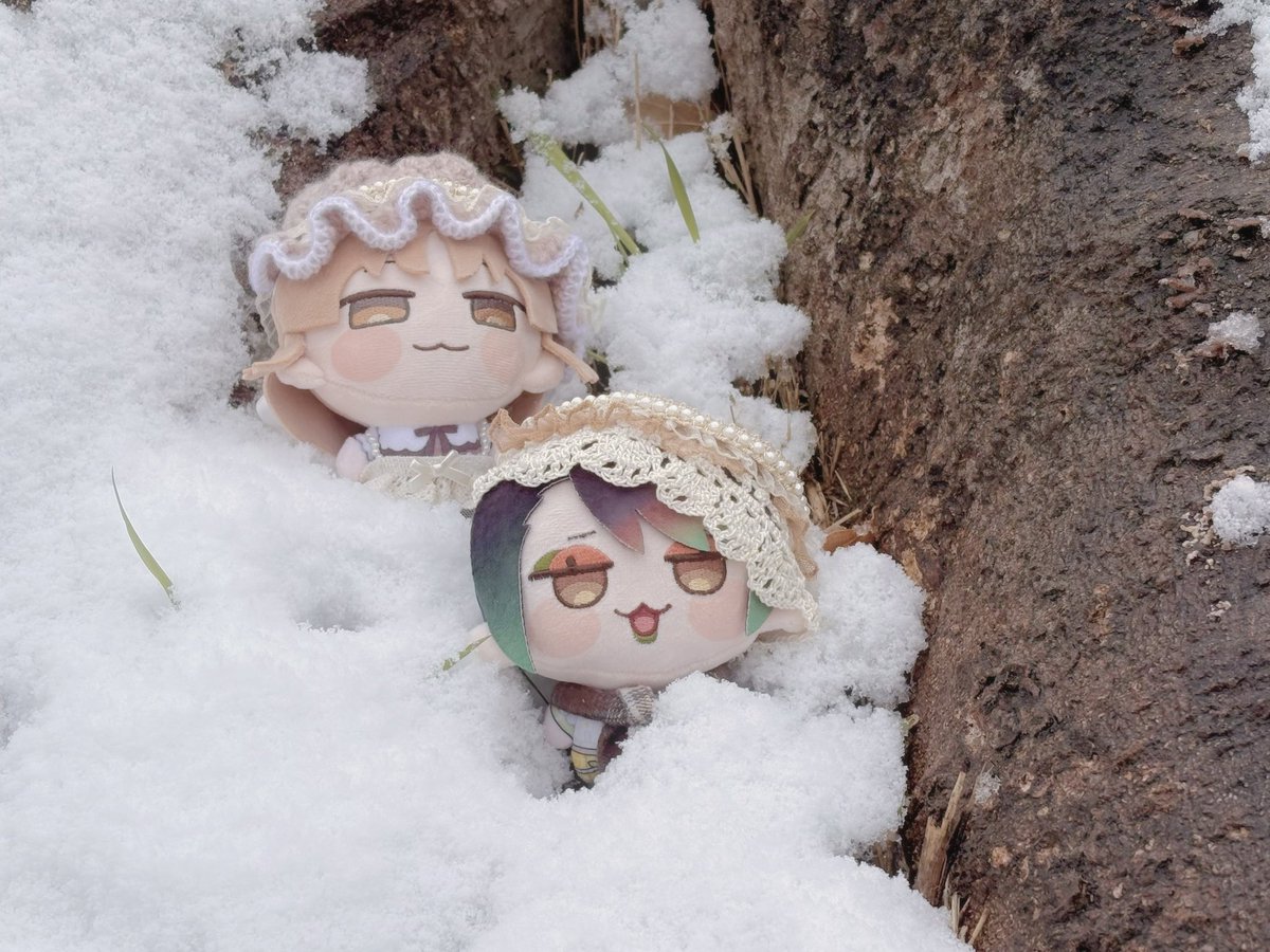 エルフの森にも雪って降るのかな
#にじまるっとが見られるタグ