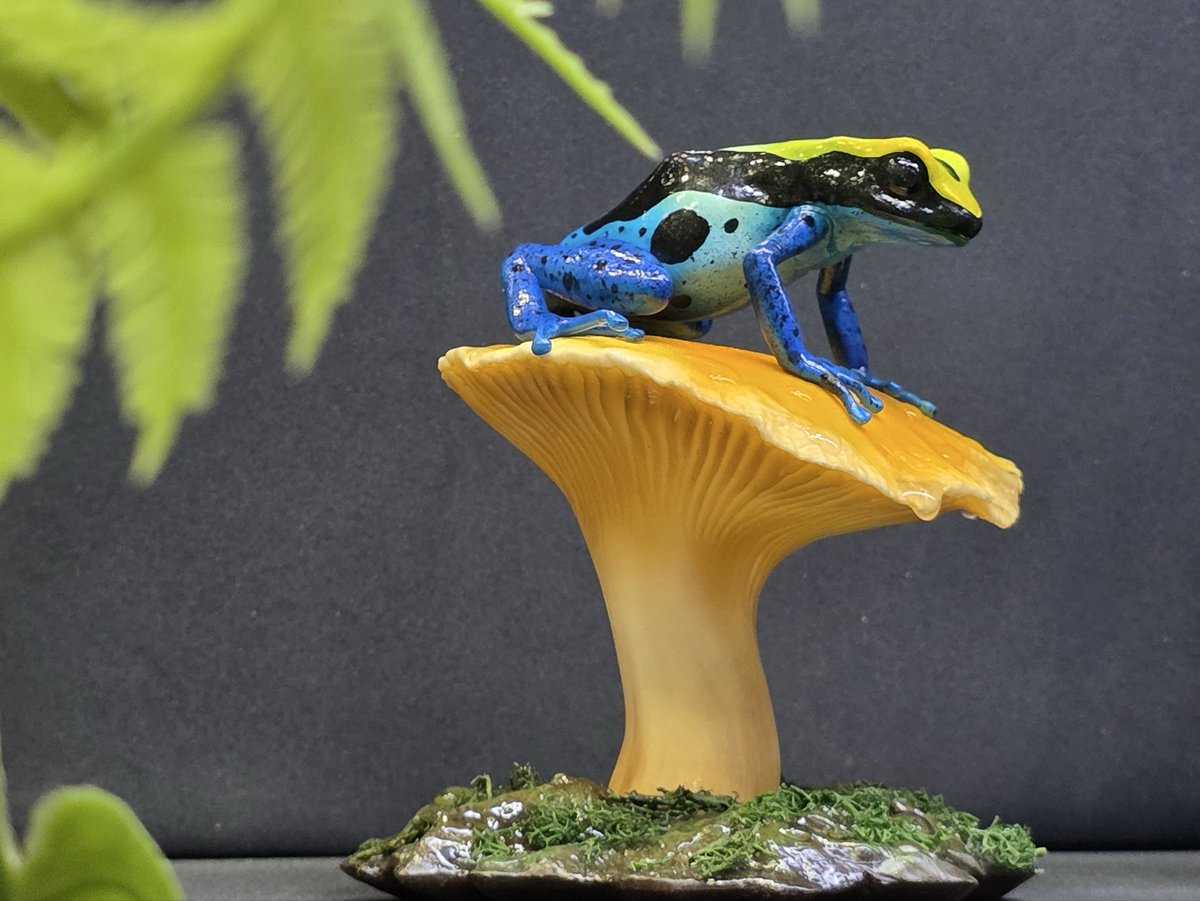 BooL_3d_factory's tweet photo. Bool 3D Factoryと申します。

本日初めてワンフェスに出展しましたので、
お知らせさせていただきます。

卓番:4-36-04 (4ホール)

複数人での出展で自分はヤドクガエルのフィギュアを作ってます。

賑やかな感じになったので、生き物好きな方、是非、立ち寄りください！

#ＷＦ２０２６Ｗ
#WF2026冬 https://t.co/ZcgmL1hkfC