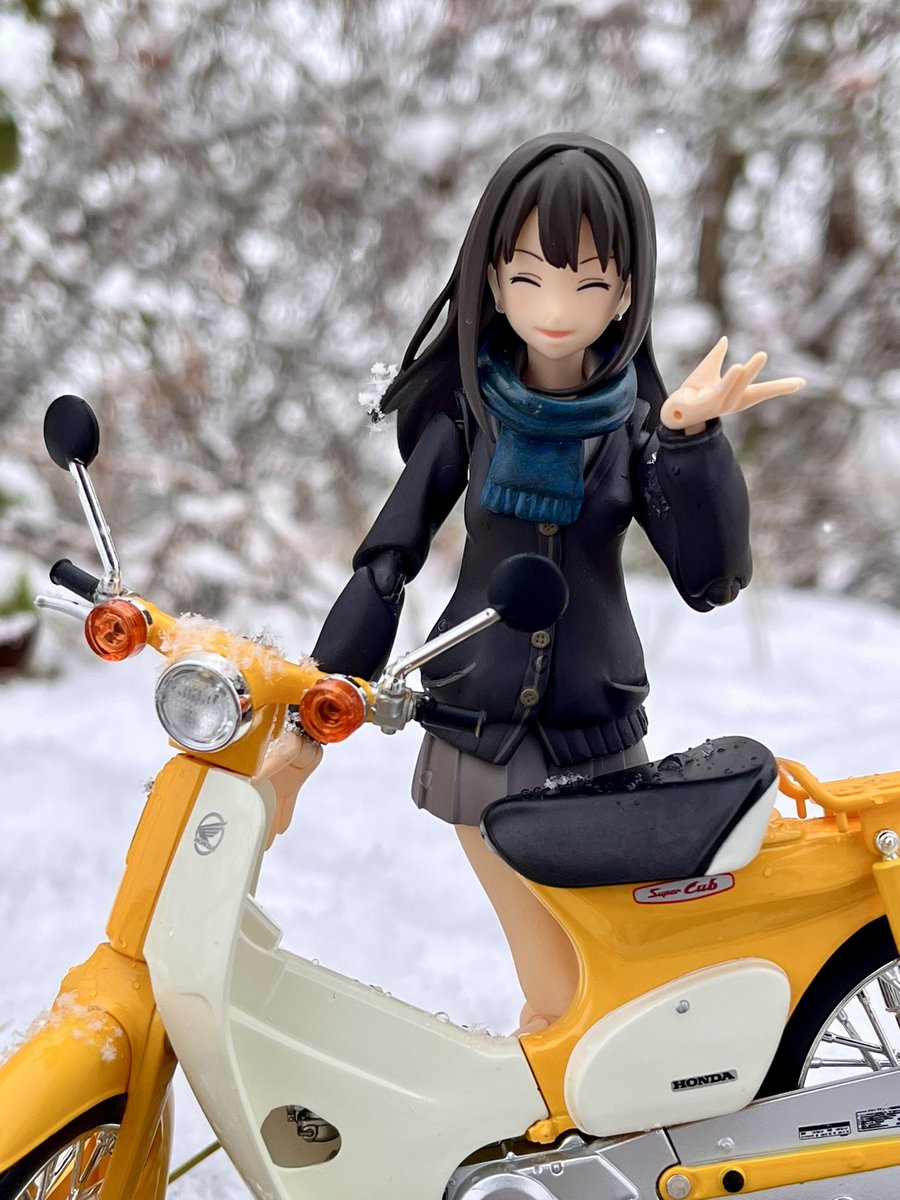 14年前のワンフェスで購入したfigma渋谷凛ちゃん

実家で見つけて最大限楽しんでます