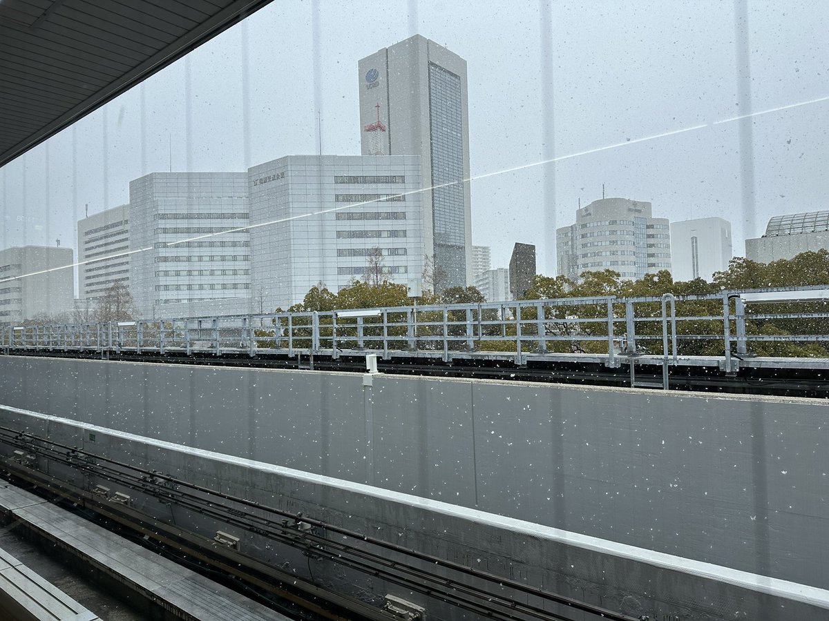 神戸でこれだけ雪が降るのは珍しい…☃️