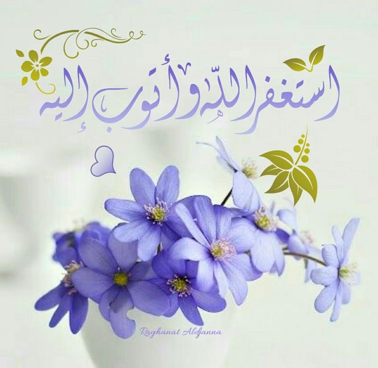 استغفر الله العظيم الذي لا اله الا هو الحي القيوم و اتوب اليه لي ولوالدي وللمؤمنين والمؤمنات والمسلمين والمسلمات الاحياء منهم والاموات …🌱🍃

#الاستغفار_يمسح_الذنوب 
 #استغفر_الله_العظيم_وآتوب_إليه