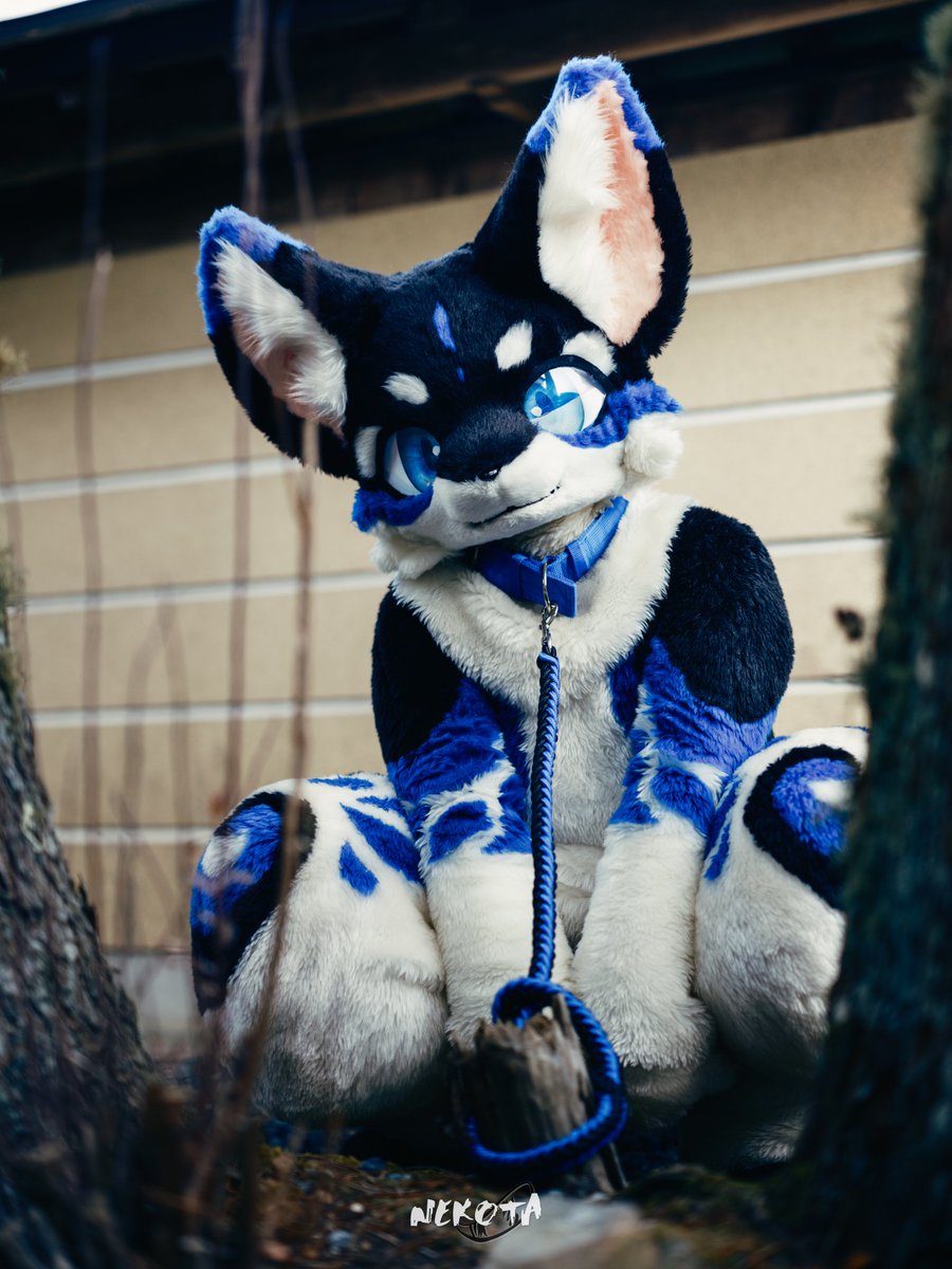 ネコタ@NEKOTA➡ちるこん (@hinekota) / Posts / X