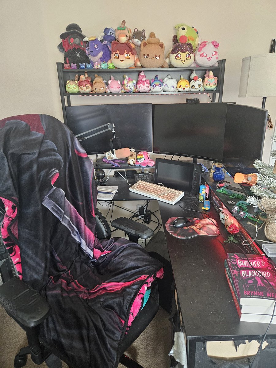 I cleaned my room today