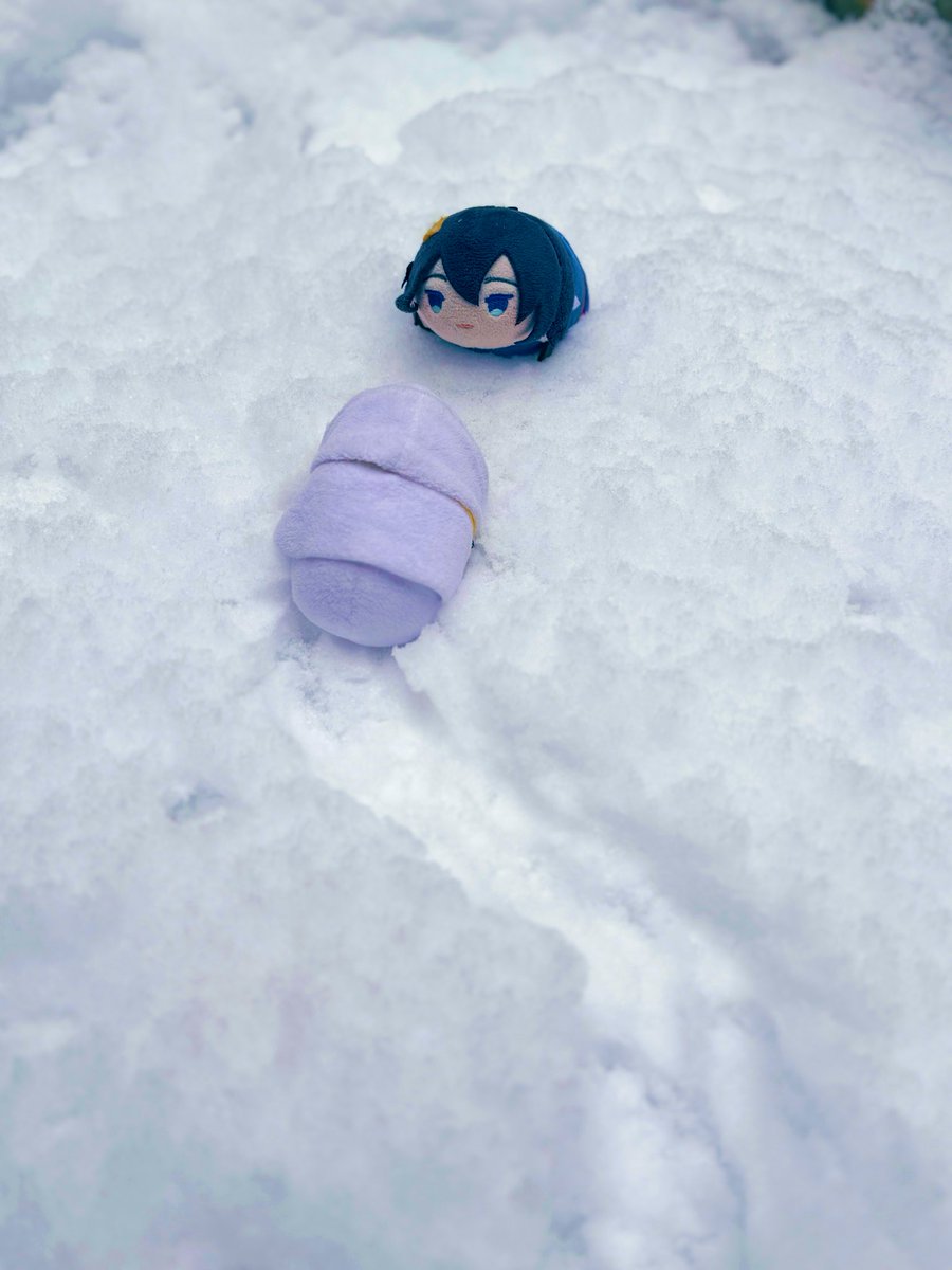 もち達、雪だよ❄️
