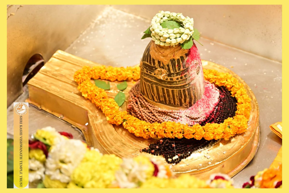 श्री काशी विश्वनाथ जी की मंगला आरती I
#kashivishwanath #kashi #sanatandharma #banaras