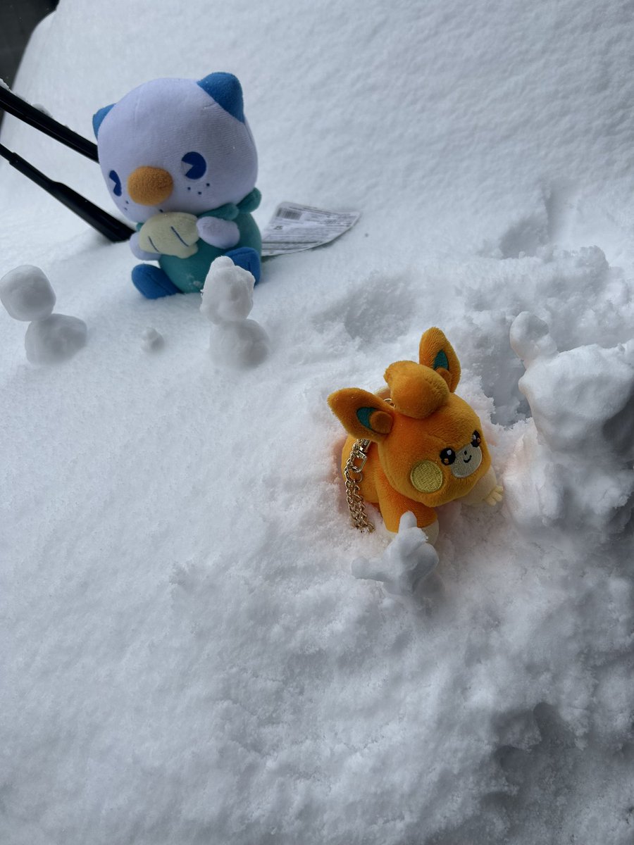 雪積もったから姉と雪だるま作成した⛄️
