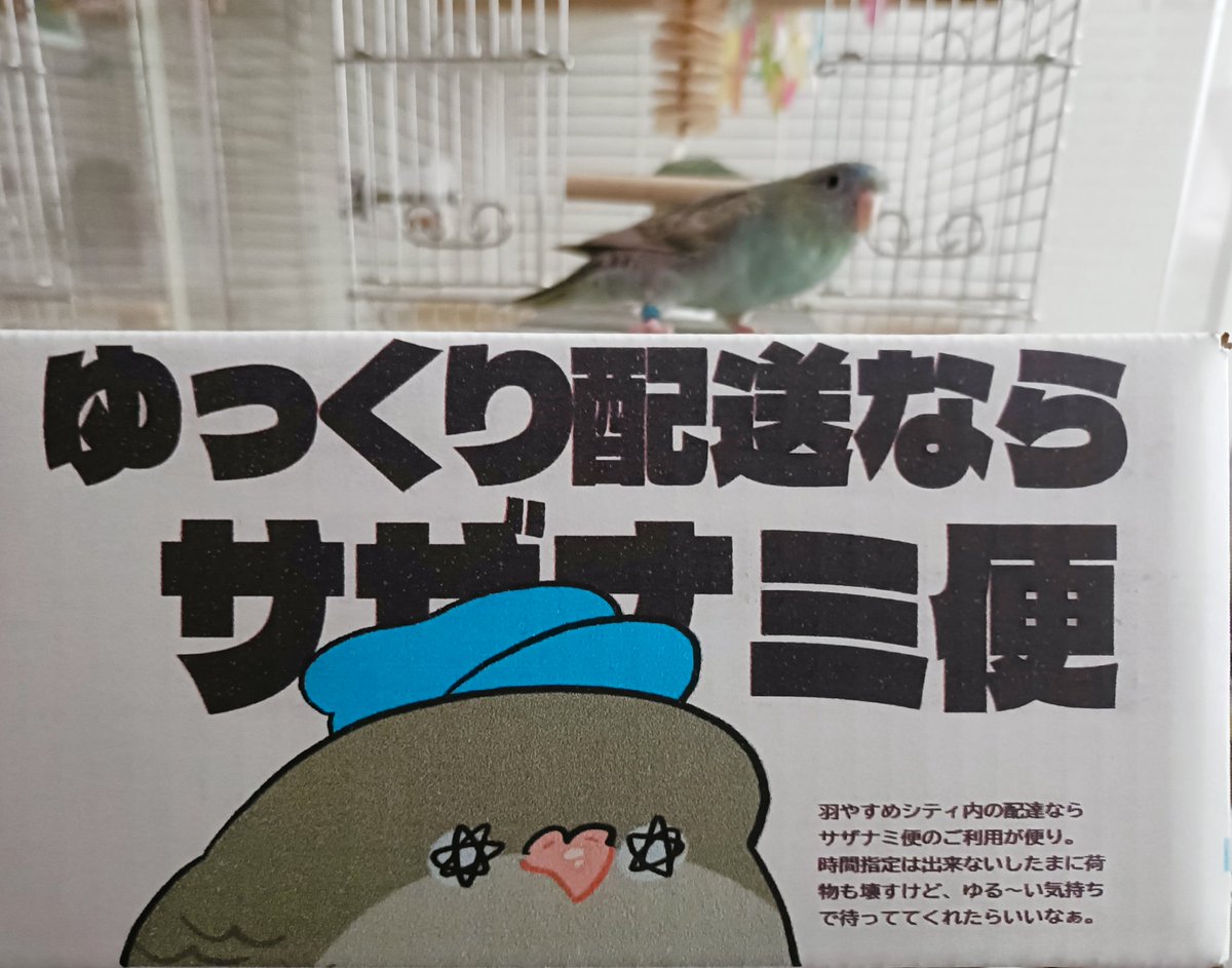 sazamaruu's tweet photo. サザナミ便届きました✨✨✨
さっそく…

@lpo_on
 #サザナミインコ https://t.co/PXXon3OJEL