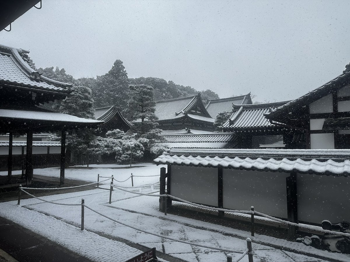 真っ白(ㅇㅁㅇ)
 #泉涌寺 
 #京都 
 #雪