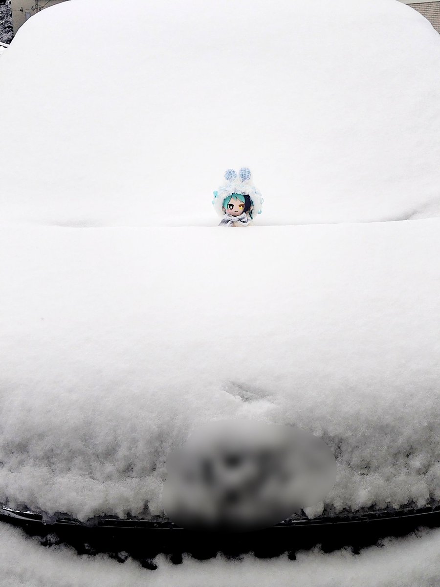 🐬「ボクはどこにいるでしょう？」
・
・
・
🐬「答えは…ぬしの車の上でした❄」

思ったより積もっててびっくりだね😅