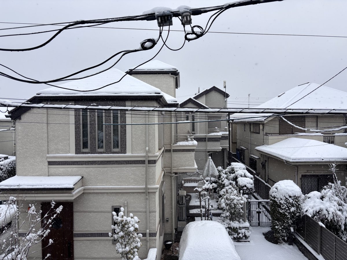おはようございます✨　
都内も朝から静かに雪が降り続いています❄️人工降雪か？😆