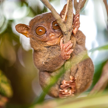 <a href="/proledevil/">⚢ Levya Eternal | Vĩnh Hằng ⚢ (Comm open)</a> <a href="/ilyvelvetshidae/">rai</a> MABuRHAY                    Wa ko kasabot
COUSIN!