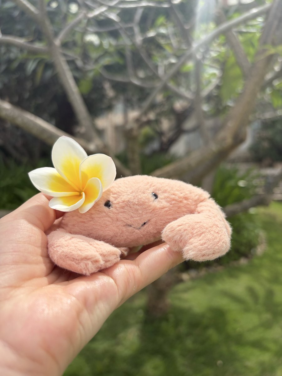 jellycat カニ jellycat Fluffy Crab ジェリーキャット ふわふわ 蟹