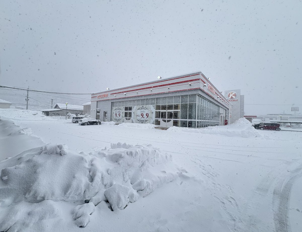 橘リノ🍄🦷 tweet media