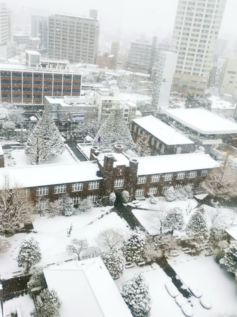 rikkyouniv's tweet photo. #頑張れ受験生
本日は一般入試２日目。 
昨晩からの雪で、キャンパスは真っ白な景色に包まれています。

この雪が、努力が花開く前触れとなりますように。 
静寂の中、皆さんが全力を発揮されるのを待っています。

試験会場（池袋・新座）へお越しの際は、足元に十分ご注意ください。
温かくして、落ち着いて。 立教大学は、頑張る受験生を応援します。

※当日の開門時刻等の変更情報はこちらをご覧ください。
https://t.co/27gPFAhzxB

#立教大学 #大学受験 #サクラサク #春から立教