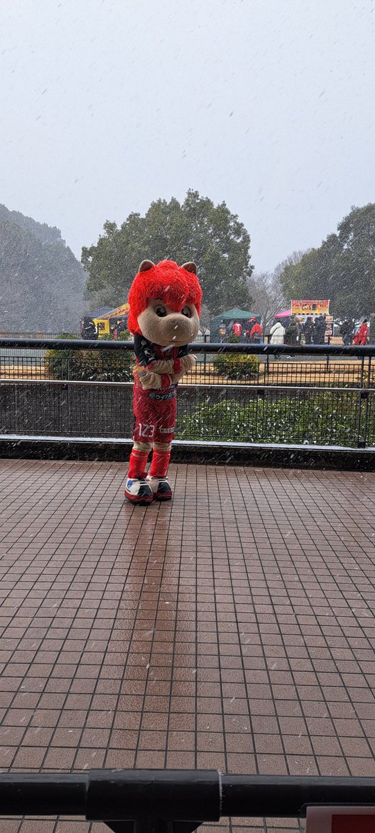 吹雪の中のロアッソくんwwww
なかなかないよwwww