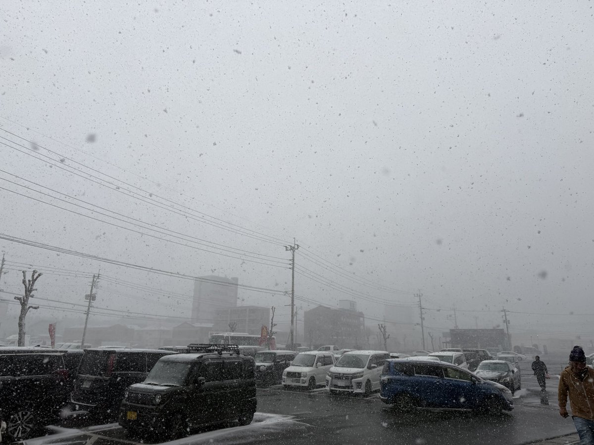 凄い吹雪いてる😂