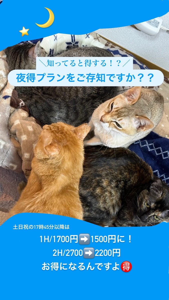 nyacle_neko's tweet photo. お得な夜得プラン🎶
本日あと1枠分のみ空いてます☺️✨️
ご予約お待ちしております😆 https://t.co/ULC19147p0