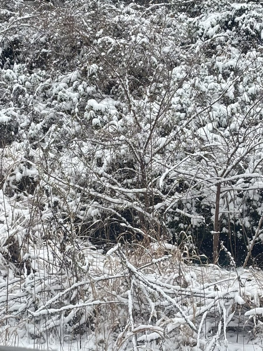 浪瀬まゆみ♥︎まゆみん (@namisemayumi) / Posts / X