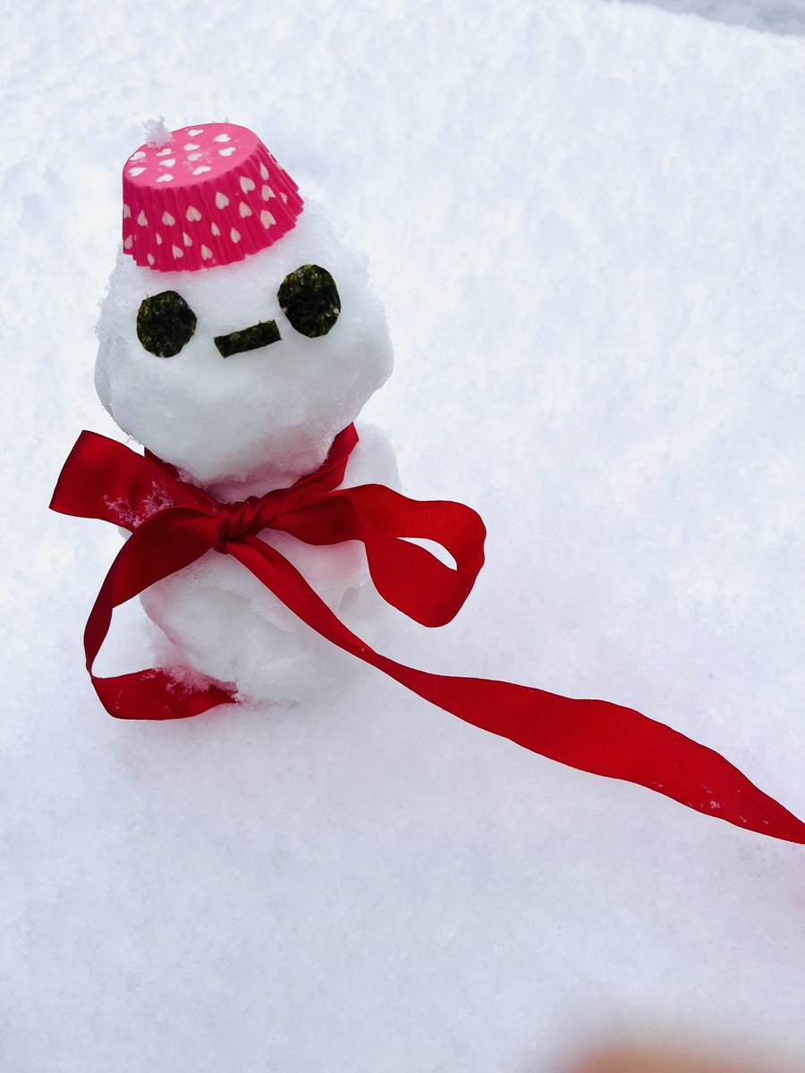 都内も雪❄️ みんな暖かくしてお過ごしくださいね。 まゆだるま2026に