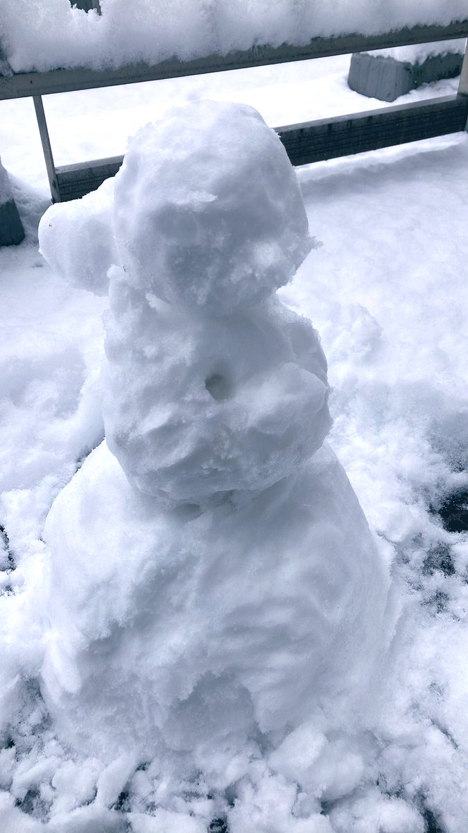 ねこととり🐱🐤