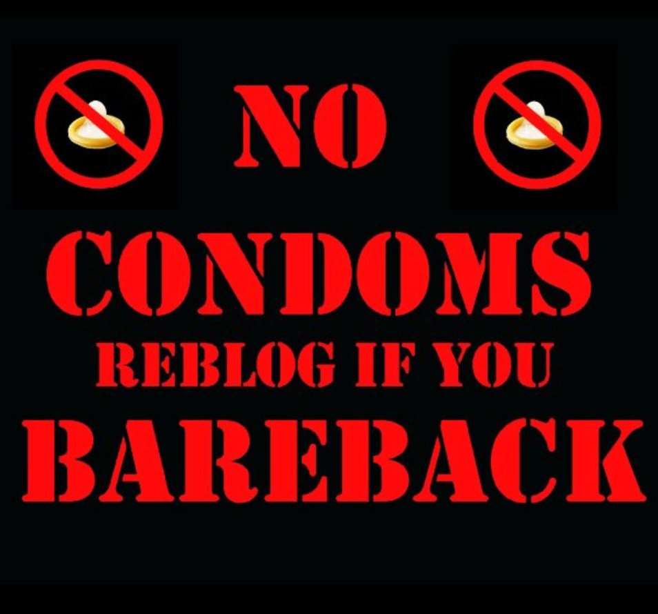 Sydney Breeders (@sydneybreeder) on Twitter photo 