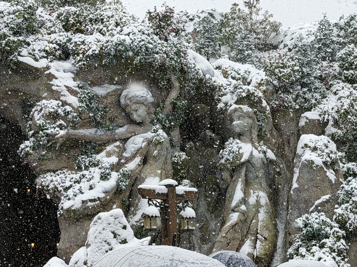 kaisanonancy's tweet photo. めっちゃアナ雪 https://t.co/1OiqTvcDDN