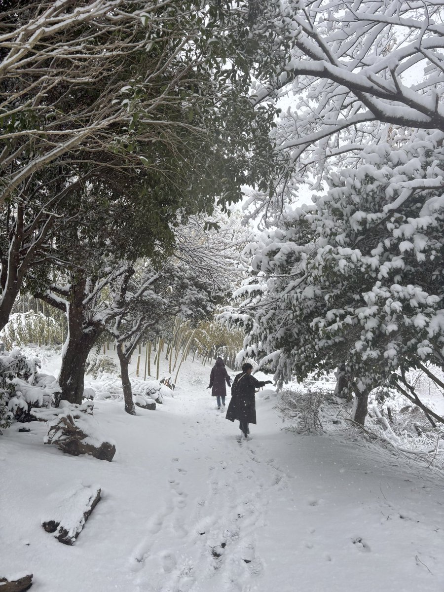 きのぼり tweet media