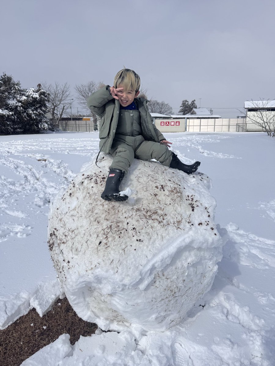 えいだまん🦁 tweet media