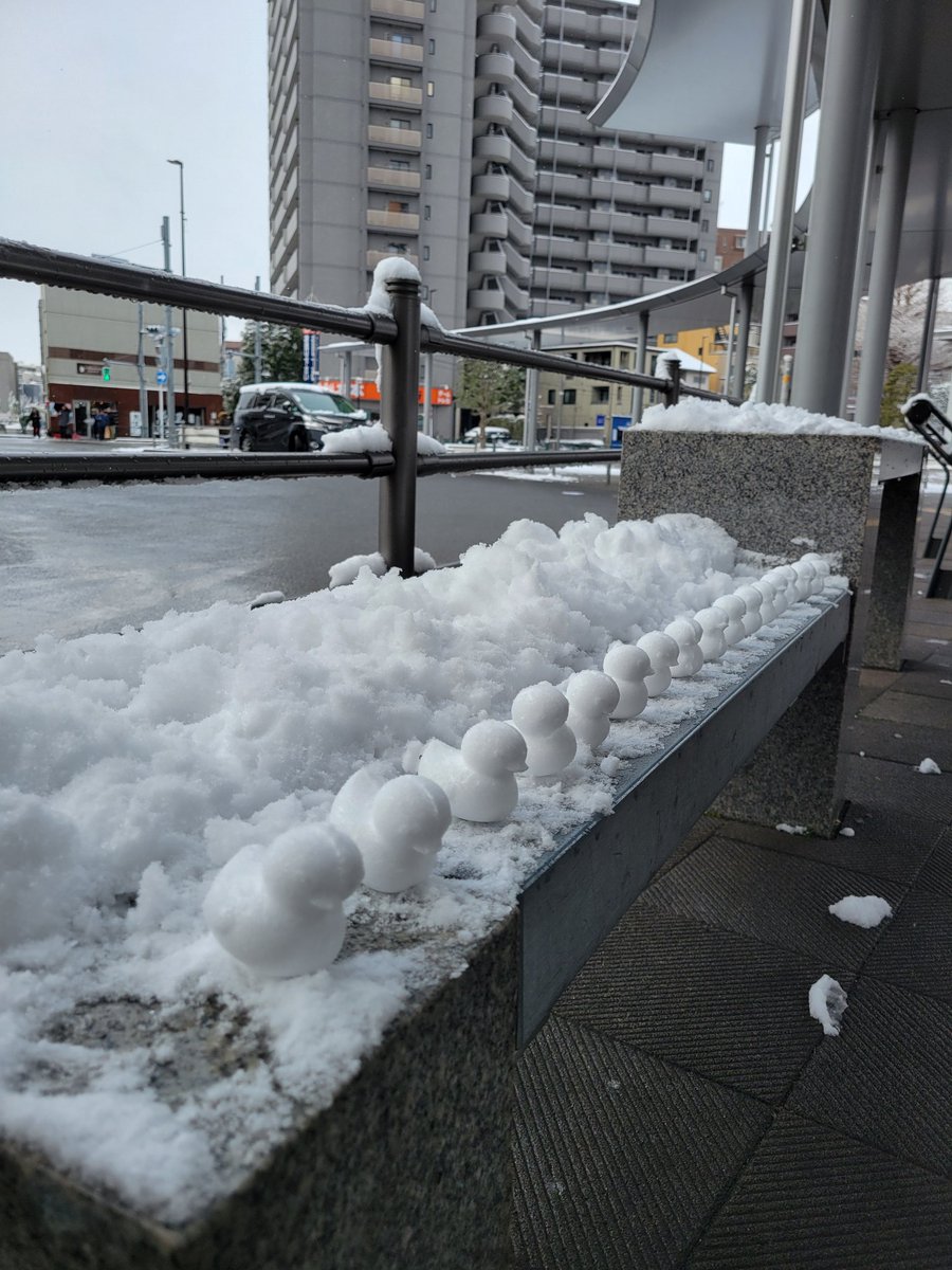 国領駅前に大量の小鳥が出現していました！🤣