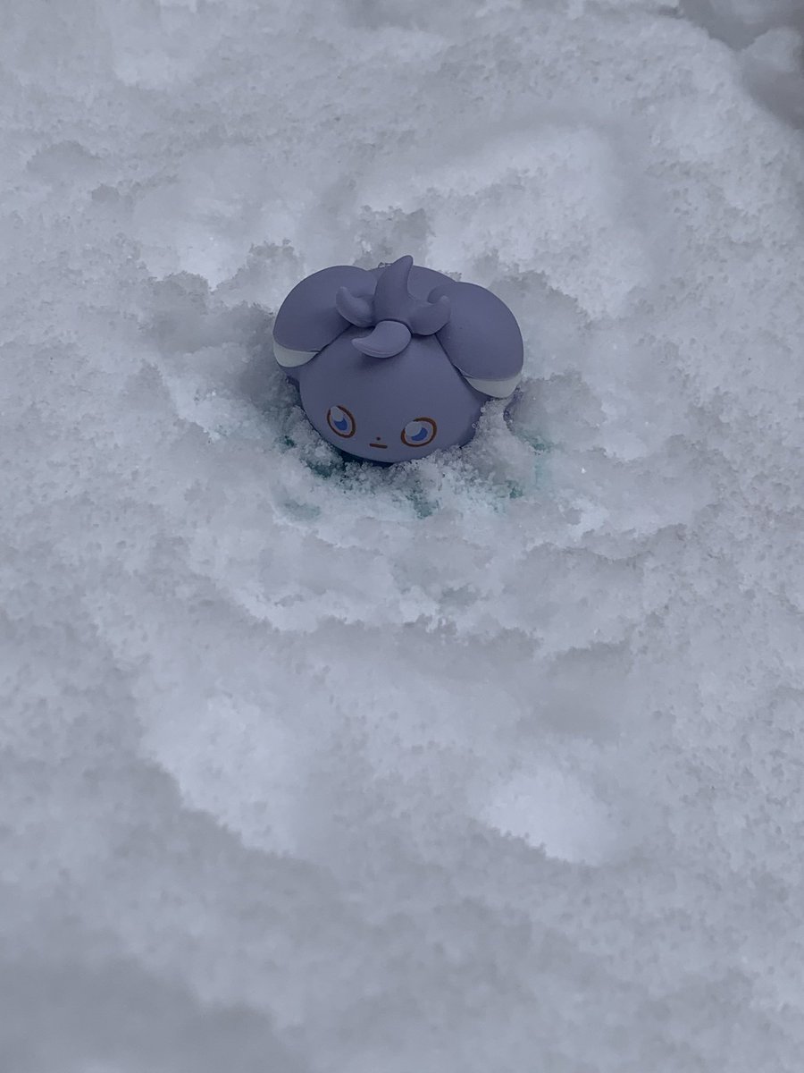 あたり一面銀世界！
とりあえず雪に埋もれてみるニャス😎