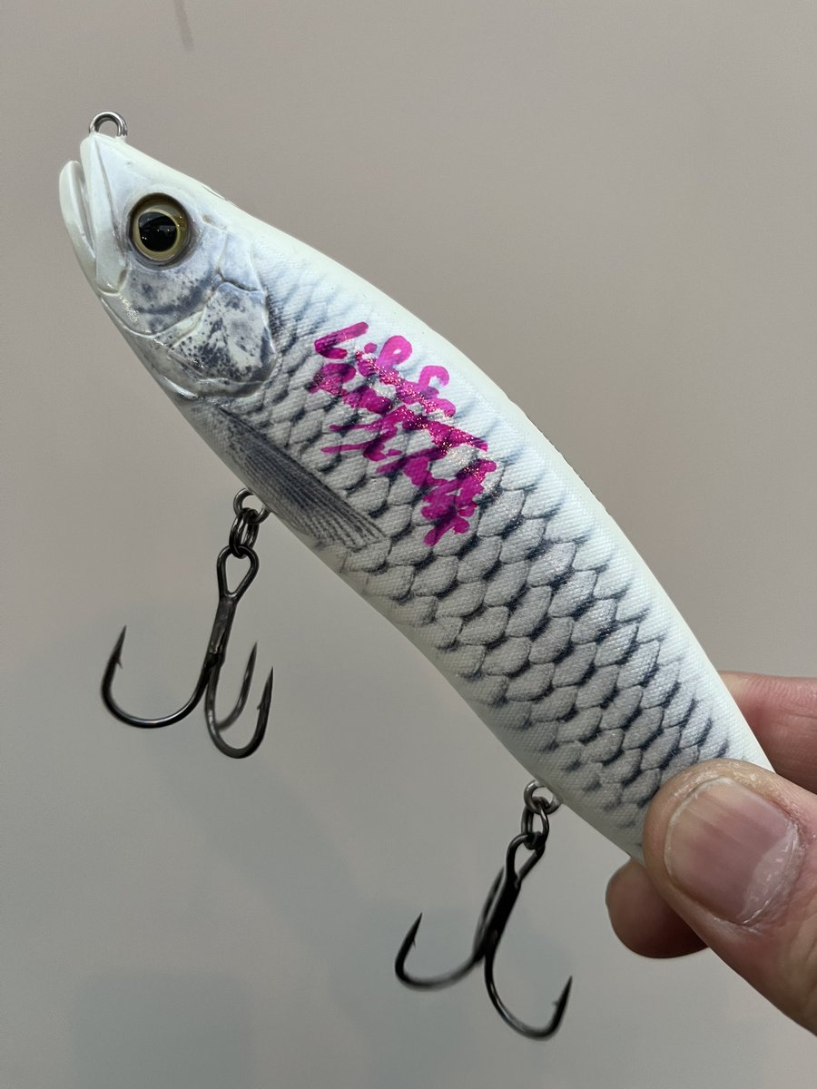 🎣ロキの釣り日記📖 tweet media