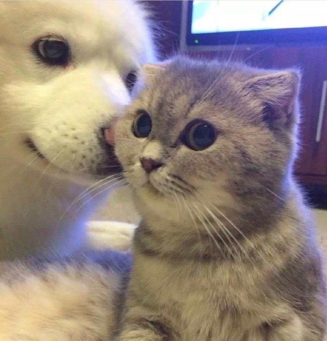 today’s dose of sungwon ♡