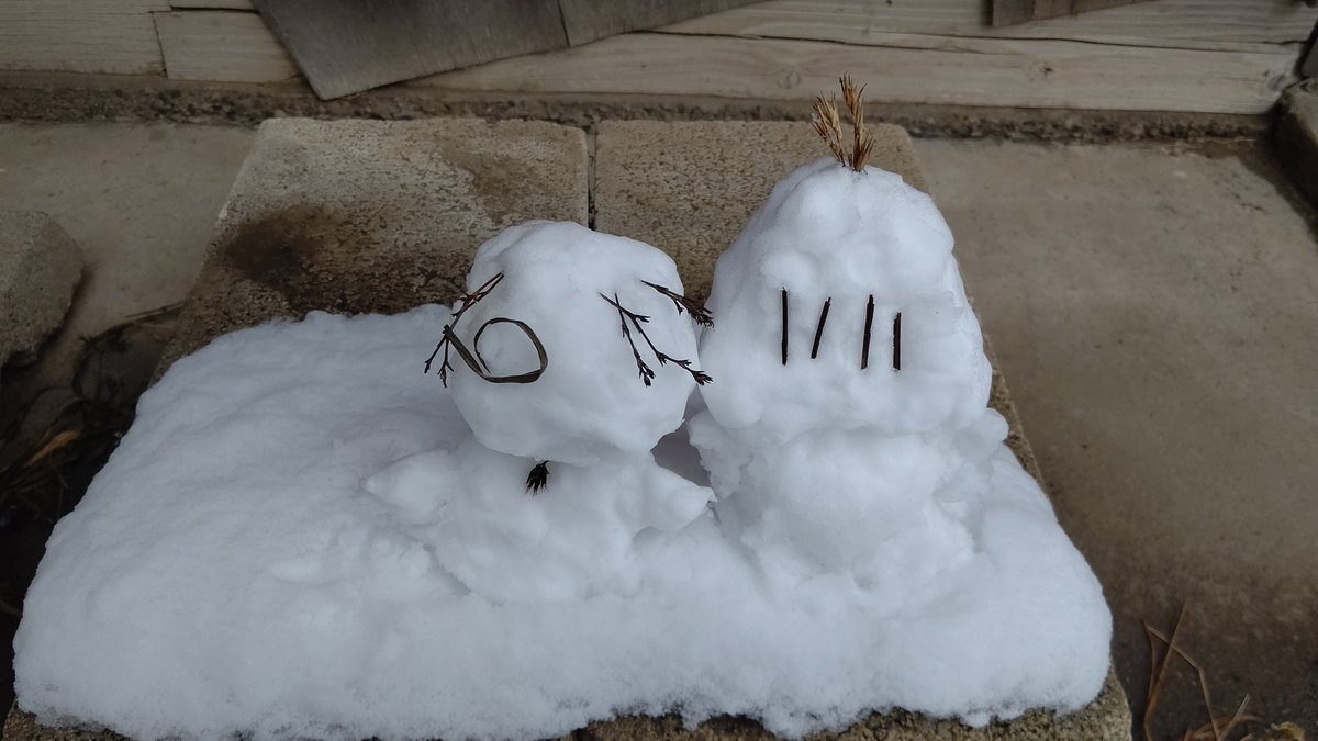 ぬい財、雪だよ⛄️
雪左衛門さんにもお越しいただきました⛄️🍵

おや...？🎀