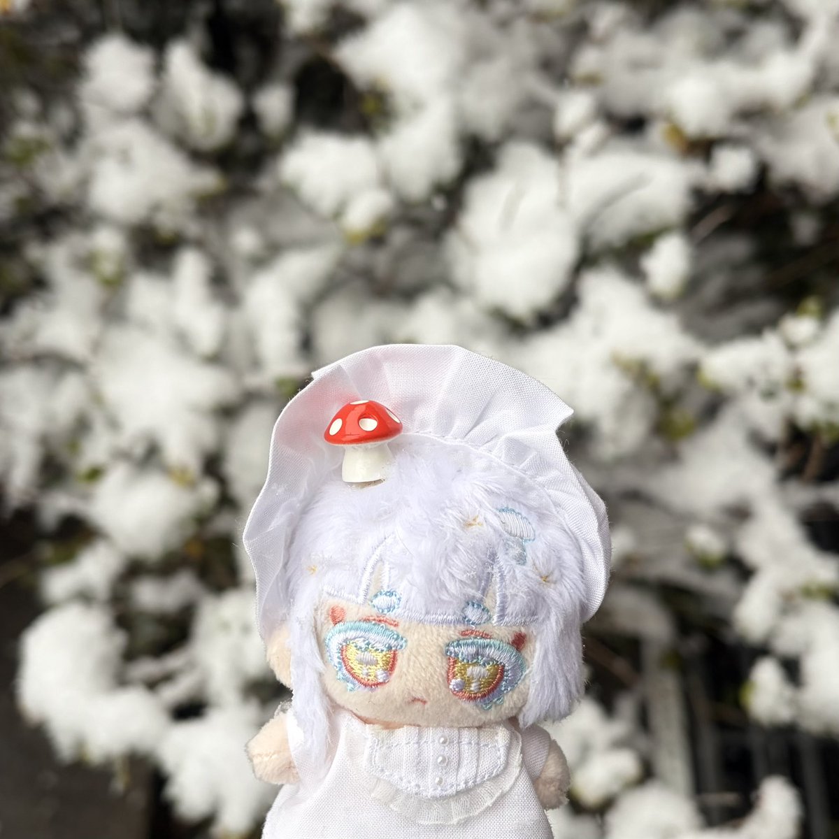 tapi_honey's tweet photo. 雪だよ https://t.co/Tip0X1BDP7
