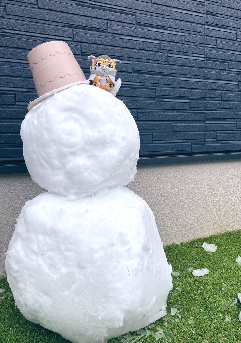 今年は雪多いねふぉぜ尾ちゃん