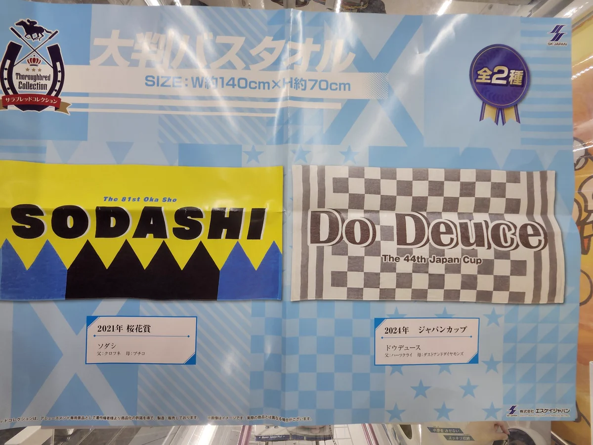 千葉鑑定団酒々井店内クレーンゲームコーナー a X: 