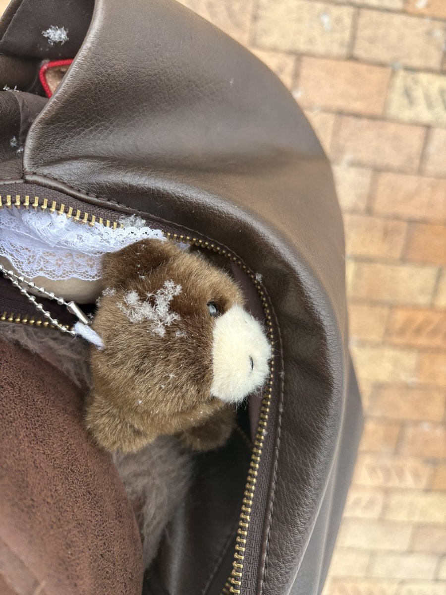 マンコ野郎🧸に雪❄️ｸﾞｧ😂😂
