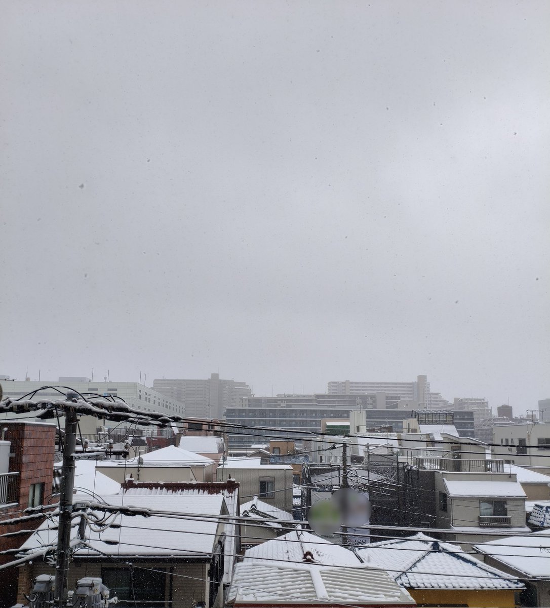 宮田正宗 tweet media