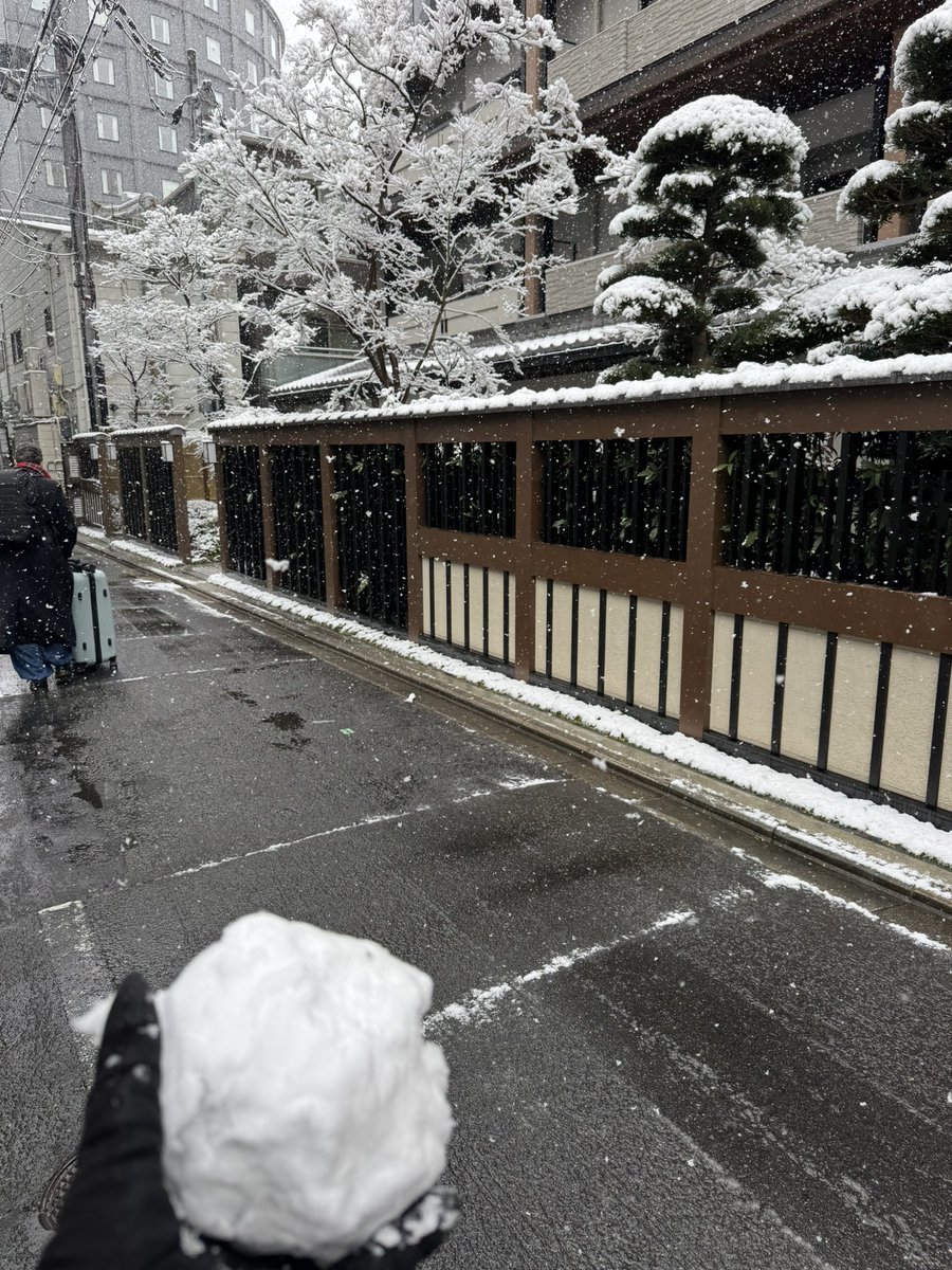 TuneupSynchro's tweet photo. 雪すごいね https://t.co/LrRk0KnUzc