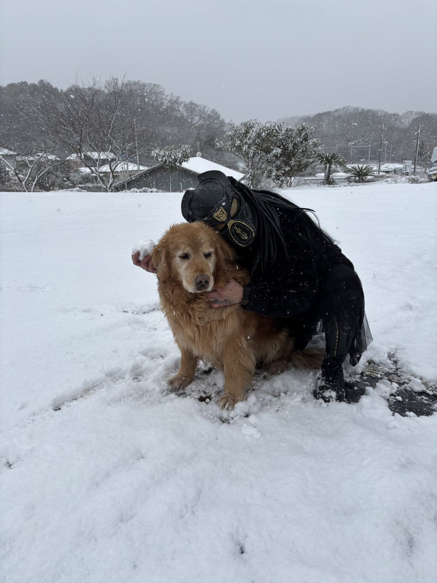 toskajp's tweet image. 【お知らせ】2026年2月8日
本日予定していた湘南トスカフィールド 休日定例会は
降雪のため中止となりました❄️
ですが──
この雪景色、正直「映画のワンシーン」でした。
次回は万全のコンディションで開催します。
▶︎ 次回定例会の予約はお早めに👇
shonantoska.jp/schedule.html

#湘南トスカ
#サバゲ