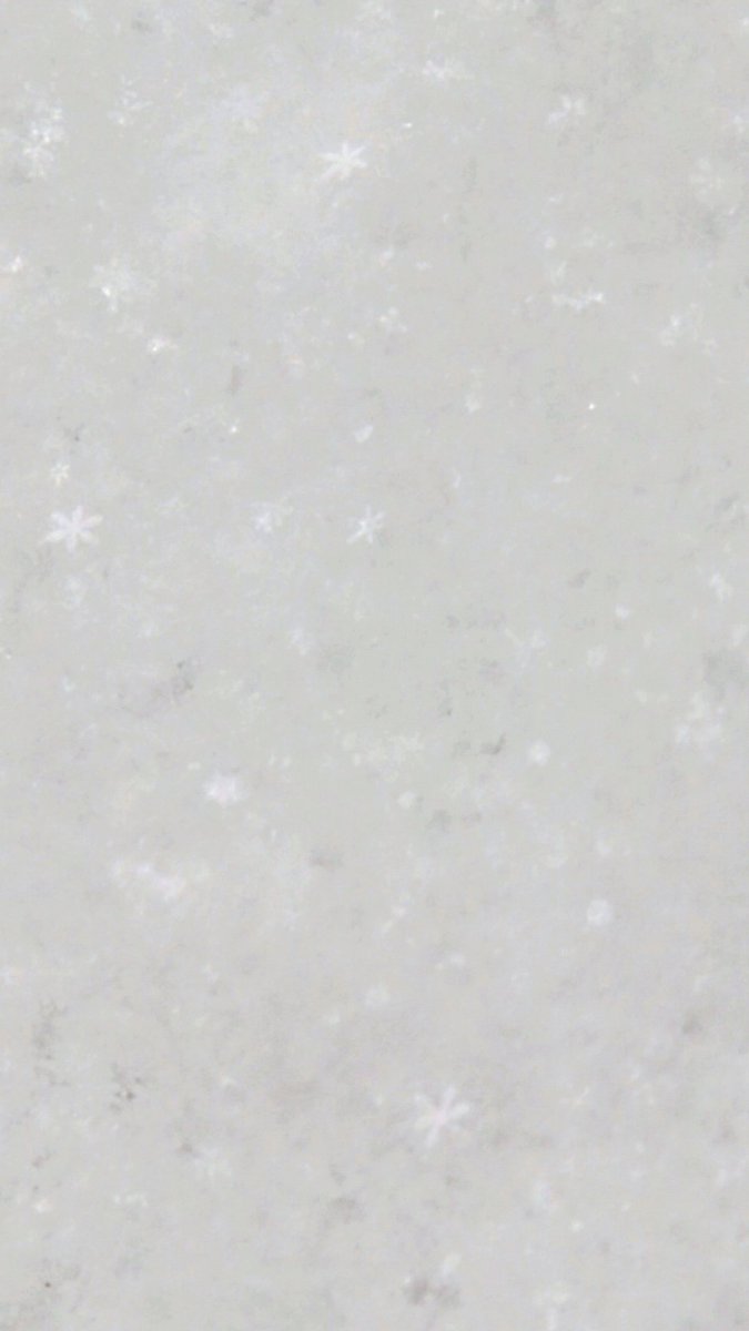 mana_mio's tweet photo. 雪撮ってたら��晶が反射してキラキラ。
メルヘン過ぎる。
自然は厳しいけど美しい。 https://t.co/4GtUqQLYD6