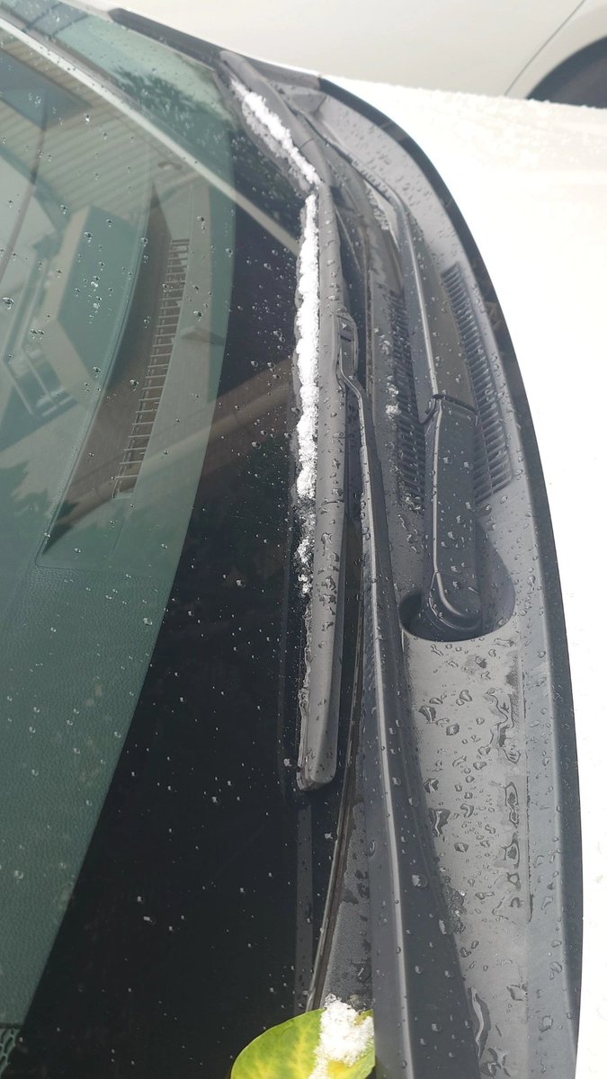 雪ちょびっとあった