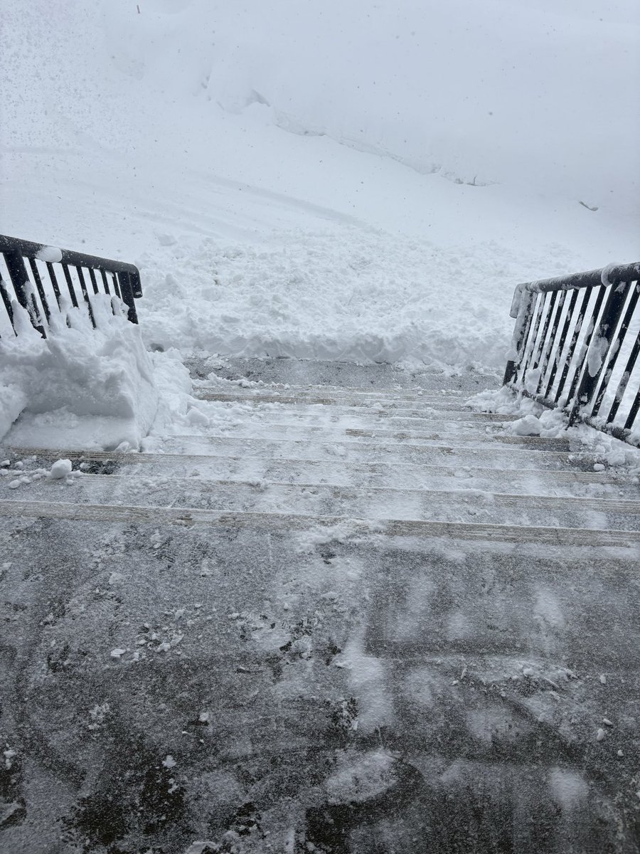 after

残りの雪は硬くて無理(>_<)