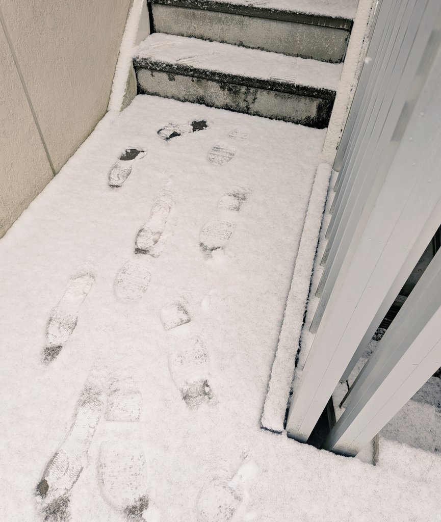 nanasinguru's tweet image. 今日のほうが雪❄すごかったー🥹
